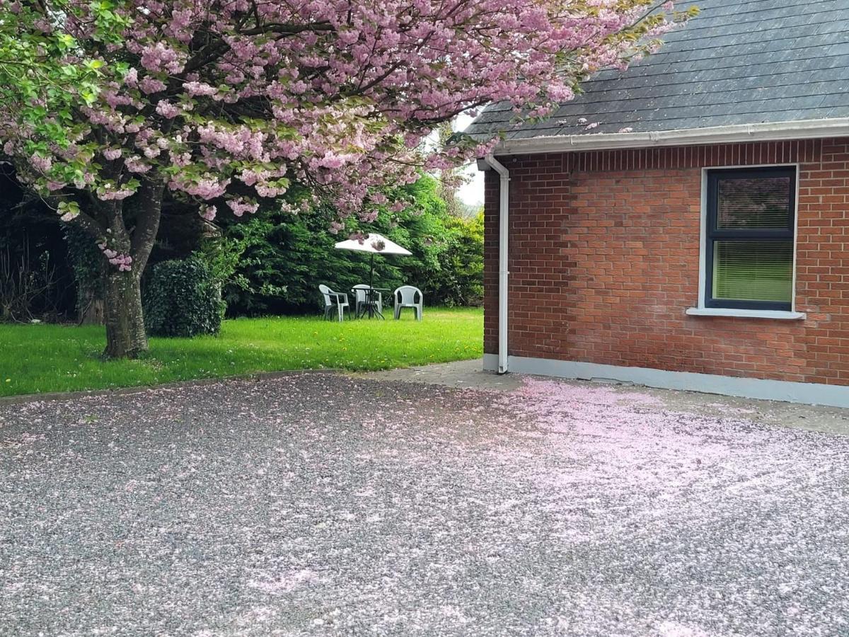 Beechwood House ,Apartment C15Ya44 スレーン エクステリア 写真